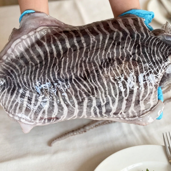 Frozen Giant Cuttlefish Seafood Delicacy