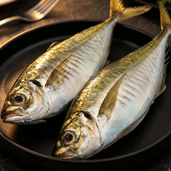 Frozen Farm-Raised Small Horse Mackerel