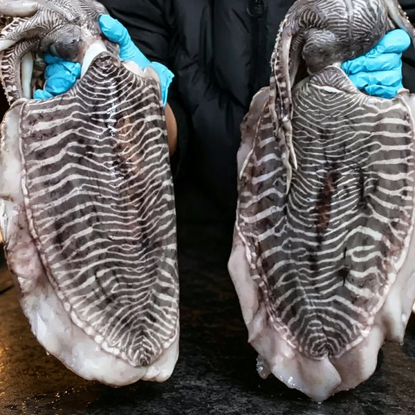 Frozen Giant Cuttlefish Seafood Delicacy